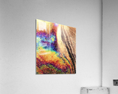 2478 Acrylic Print