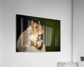 2481 Acrylic Print