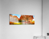 2482 Acrylic Print