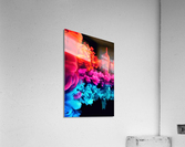 2486 Acrylic Print
