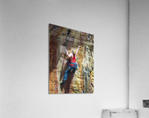 2489 Acrylic Print