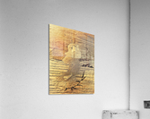 2491 Acrylic Print