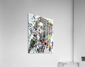 2495 Acrylic Print