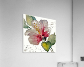 2497 Acrylic Print
