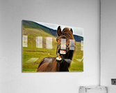 2502 Acrylic Print