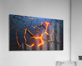 2529 Acrylic Print