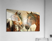 2545 Acrylic Print