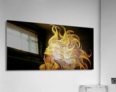 2571 Acrylic Print