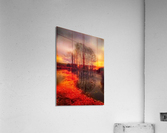 2578 Acrylic Print