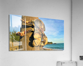 2582 Acrylic Print