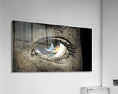 2584 Acrylic Print
