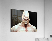 2597 Acrylic Print