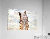 2600 Acrylic Print