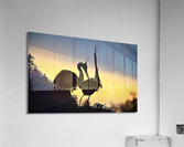 2607 Acrylic Print