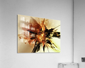 2611 Acrylic Print