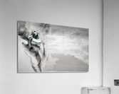 2614 Acrylic Print