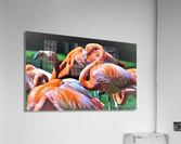 2620 Acrylic Print