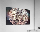2622 Acrylic Print