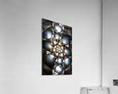 2627 Acrylic Print
