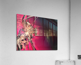 2629 Acrylic Print