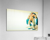 2630 Acrylic Print