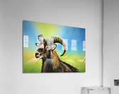2640 Acrylic Print