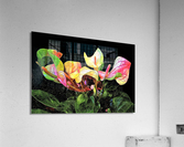 2643 Acrylic Print