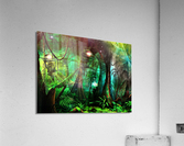 2658 Acrylic Print