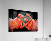 2669 Acrylic Print
