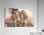 2673 Acrylic Print