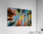2678 Acrylic Print