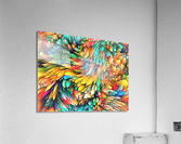 2708 Acrylic Print