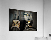 2716 Acrylic Print