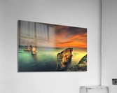 2719 Acrylic Print