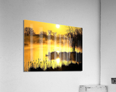 2721 Acrylic Print