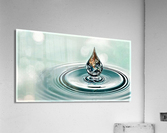 2723 Acrylic Print