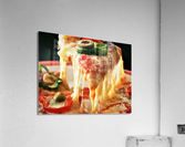 2733 Acrylic Print