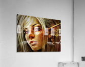 2748 Acrylic Print
