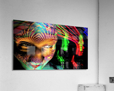 2758 Acrylic Print
