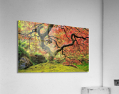 2769 Acrylic Print