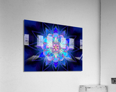 2775 Acrylic Print