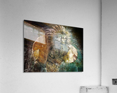 2780 Acrylic Print