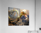 2787 Acrylic Print
