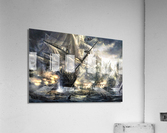 2790 Acrylic Print