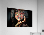 2798 Acrylic Print