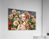 2803 Acrylic Print