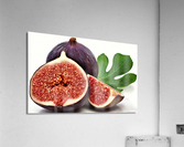2814 Acrylic Print