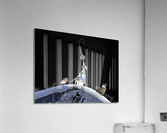 2822 Acrylic Print