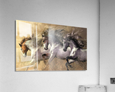 2824 Acrylic Print