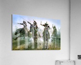 2827 Acrylic Print